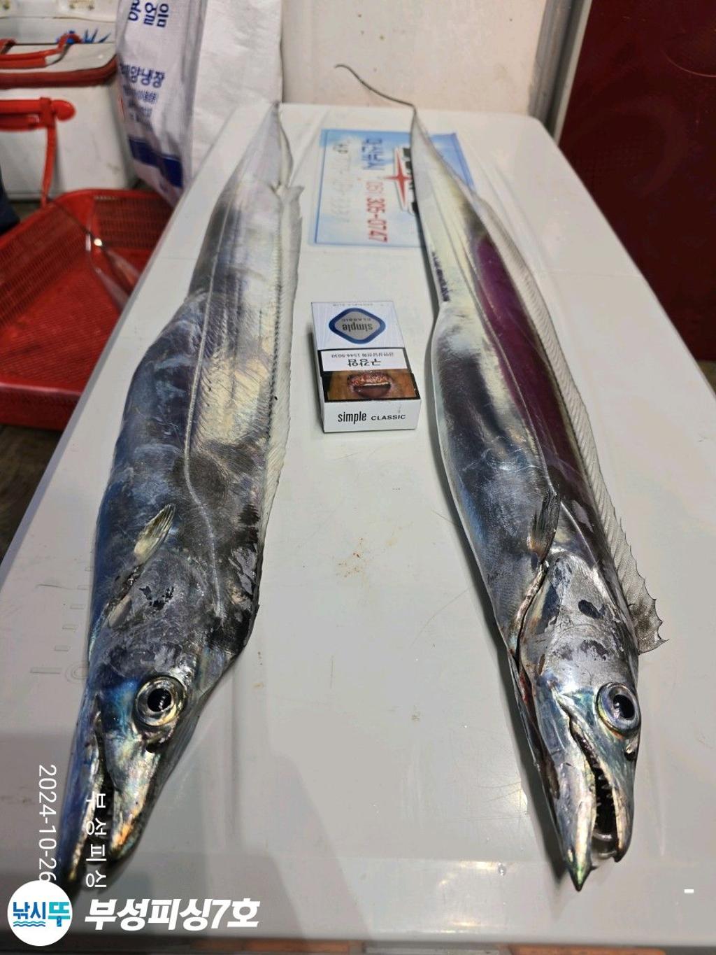 F254872205.jpg