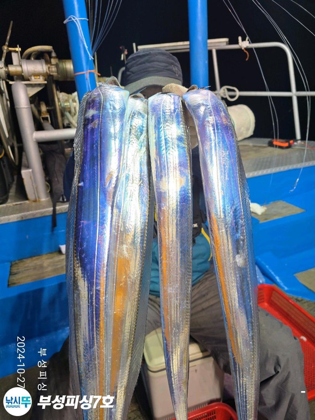 F2548737N0.jpg