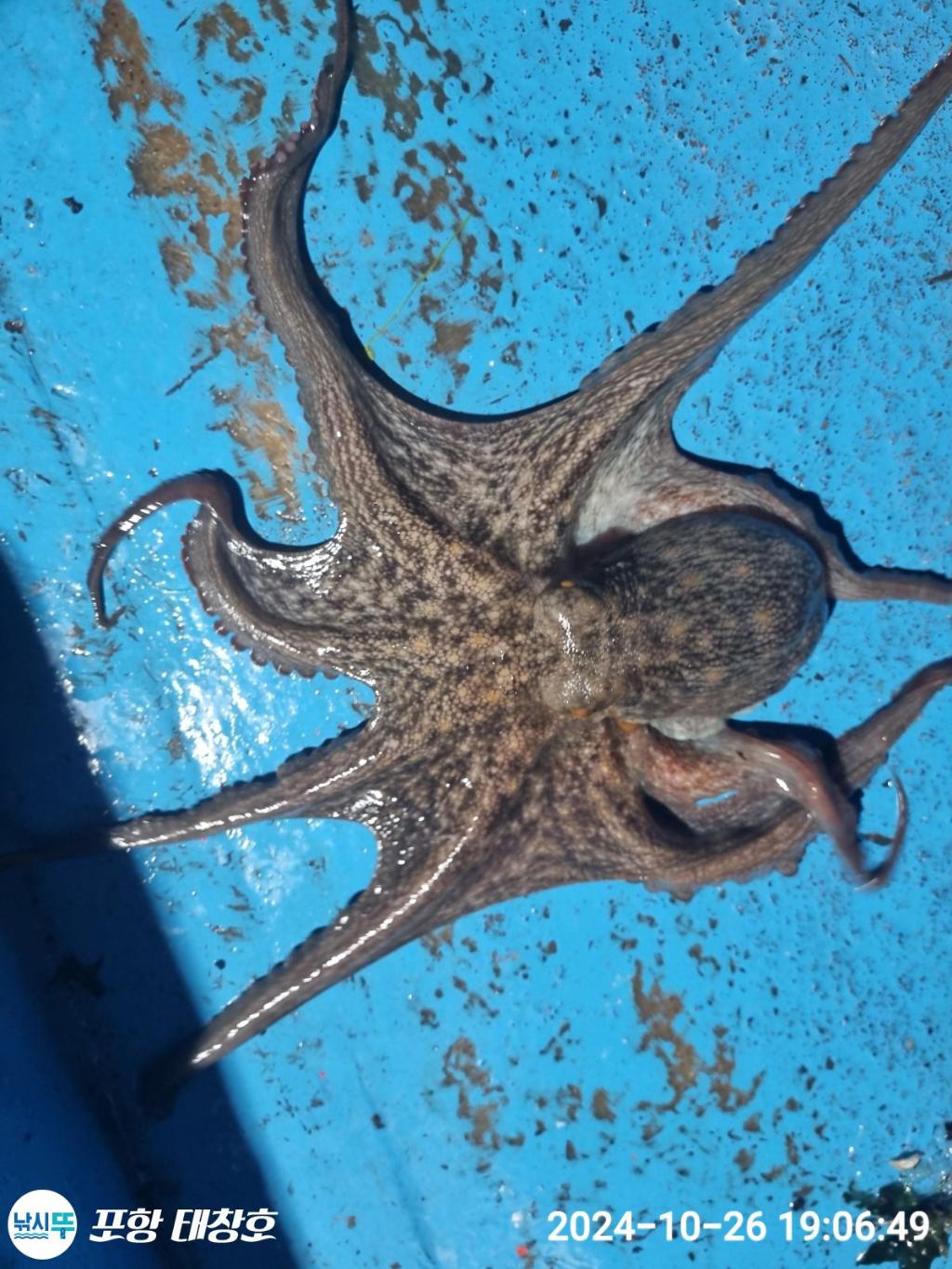 F2548769O8.jpg