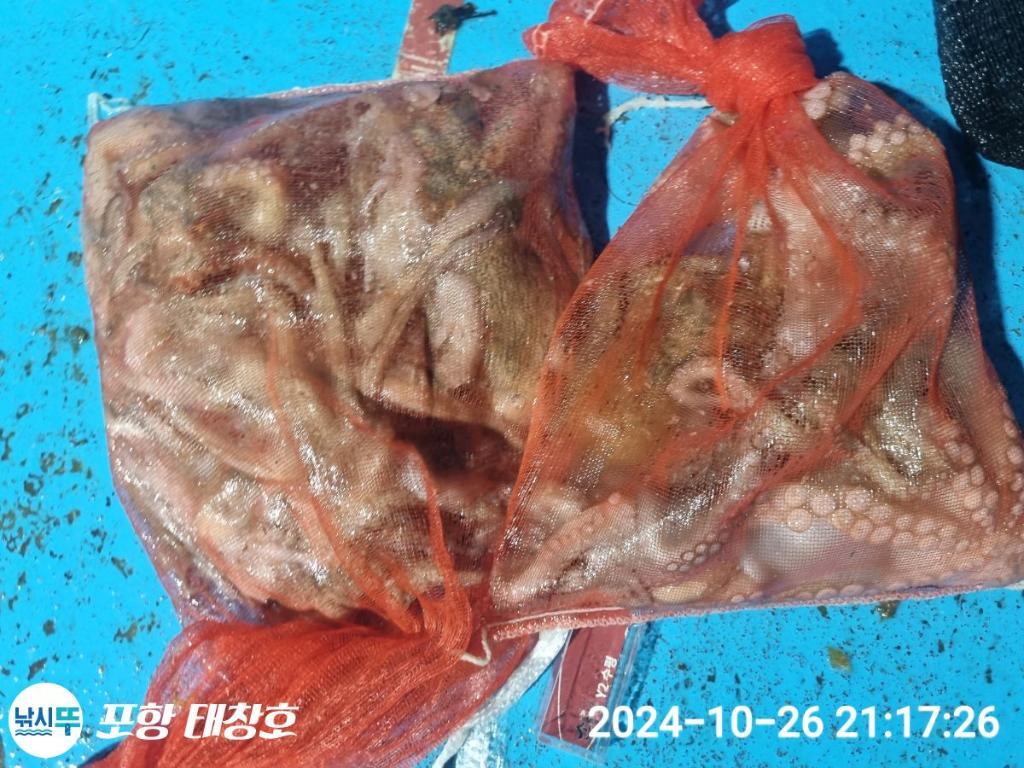 F2548776RA.jpg