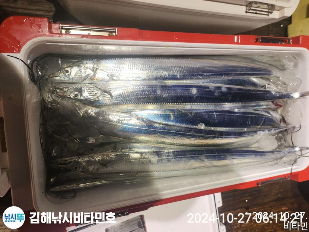 F2549054PI.jpg