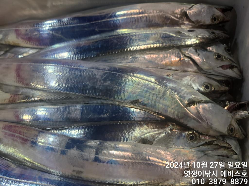 F25490869G.jpg