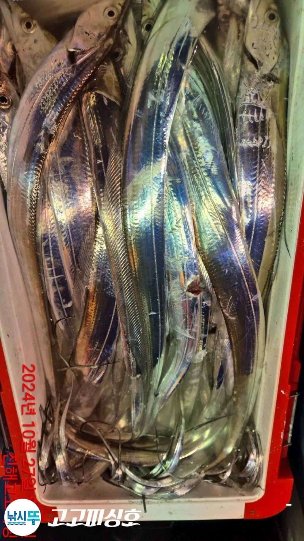 F2549226CF.jpg
