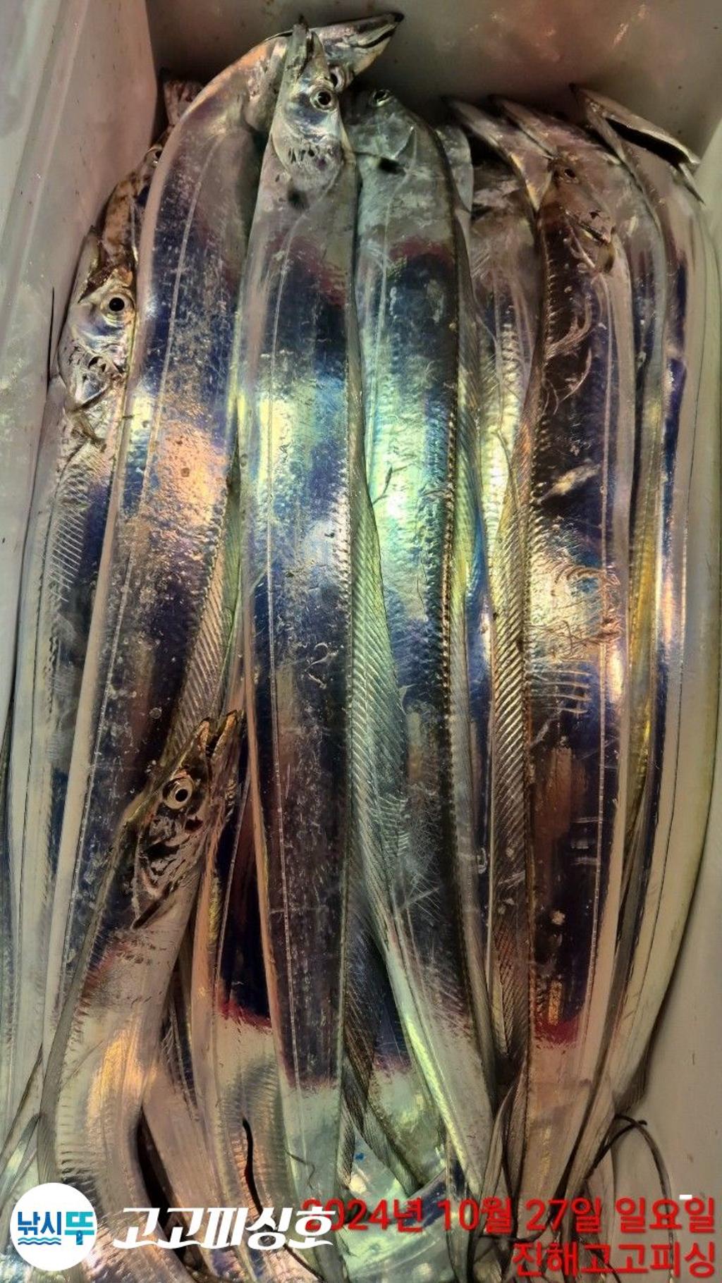 F2549228N3.jpg