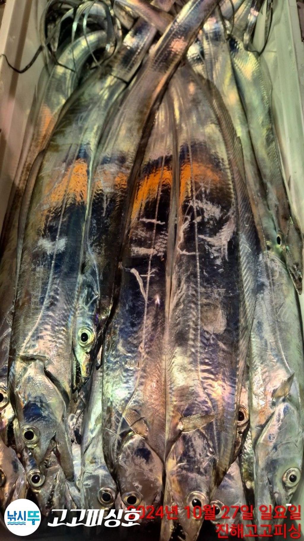 F2549235DP.jpg