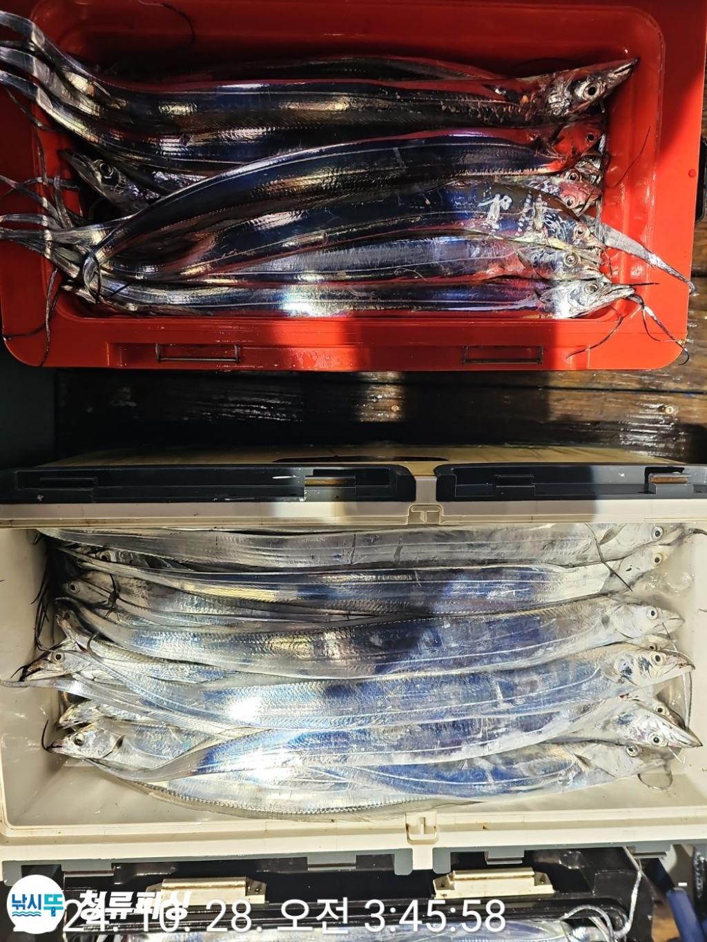 F2550816OR.jpg