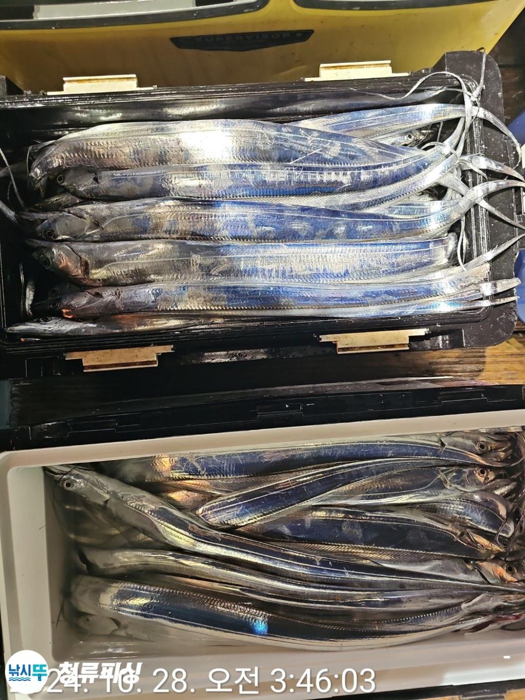 F2550817KD.jpg