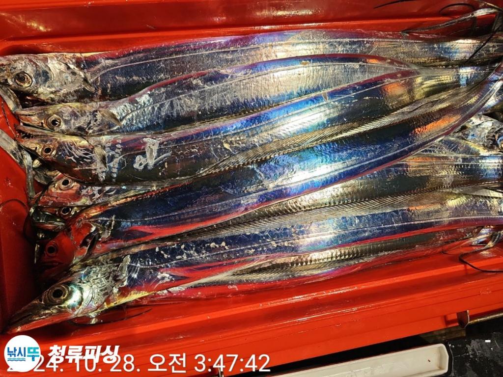 F2550820PZ.jpg