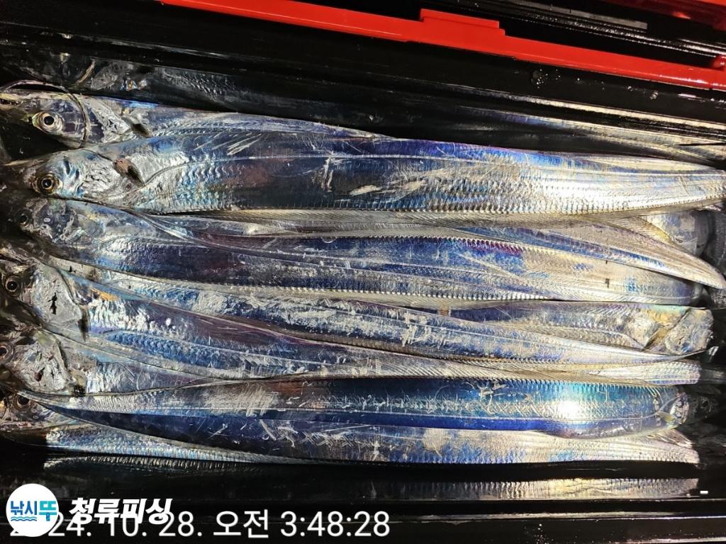 F2550821O1.jpg
