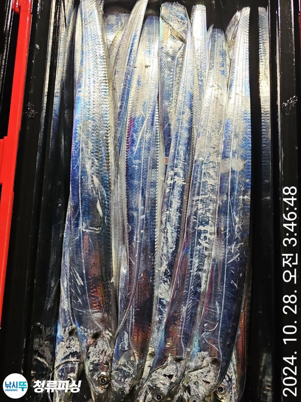 F2550822BJ.jpg