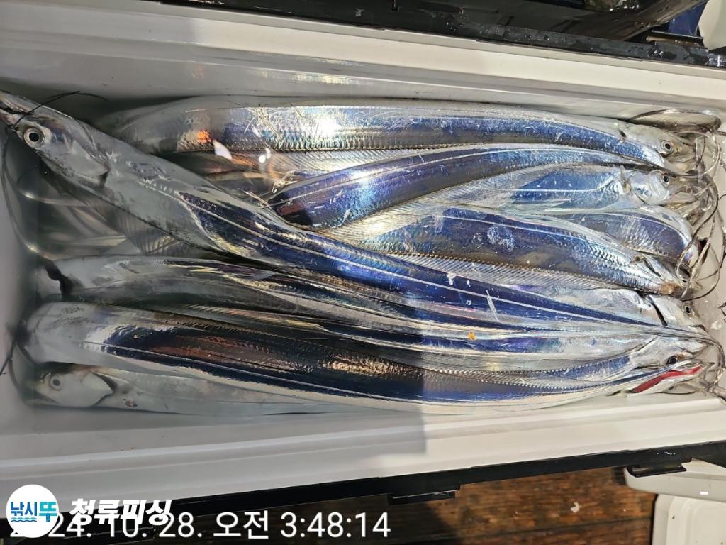 F2550823QQ.jpg