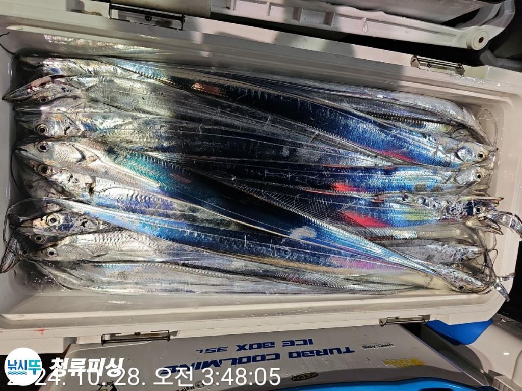 F2550824YI.jpg