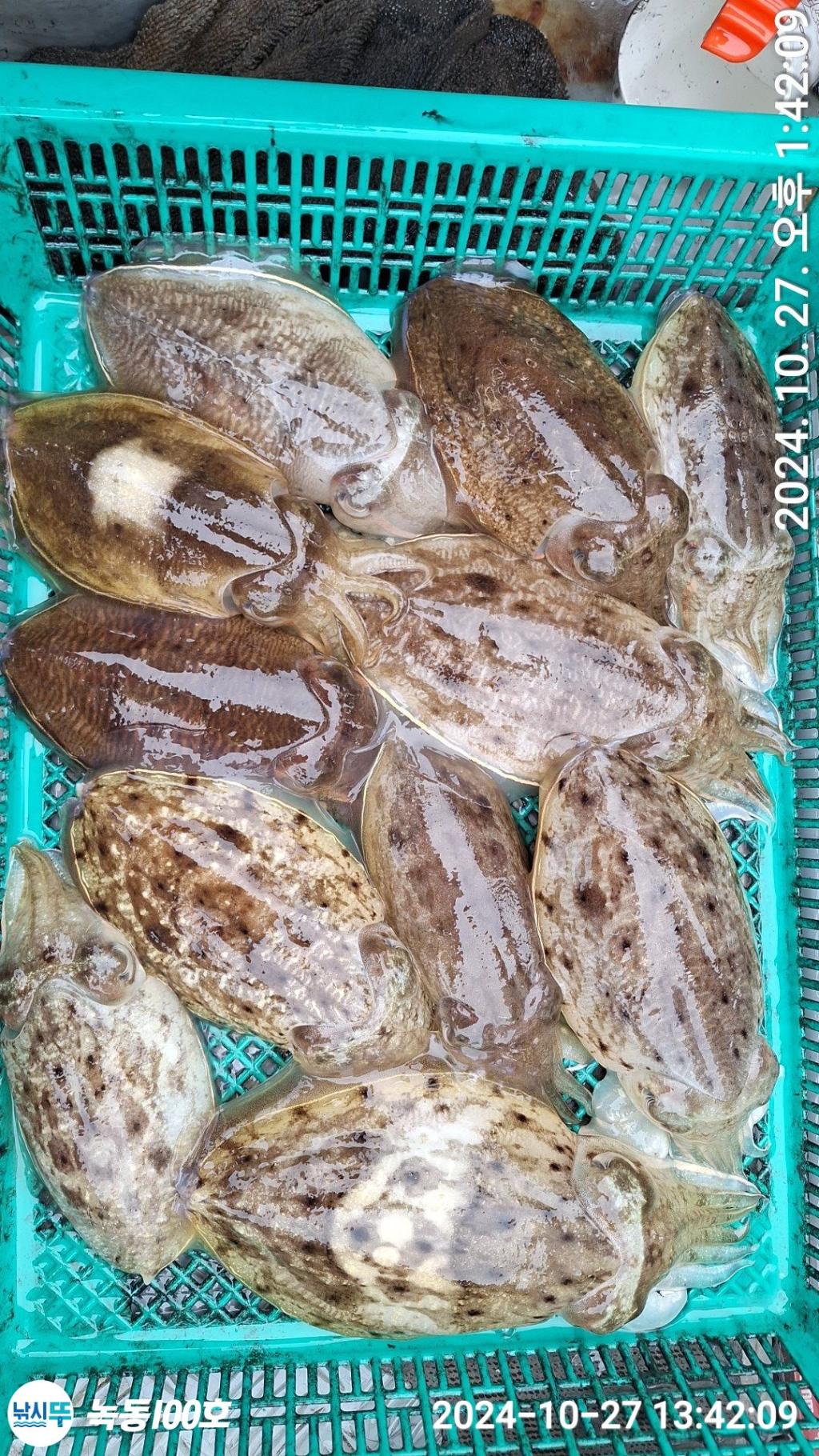 F2551681UG.jpg