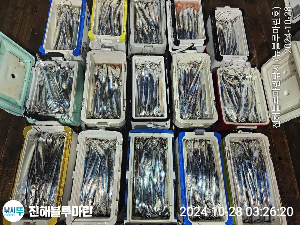 F2552145JU.jpg