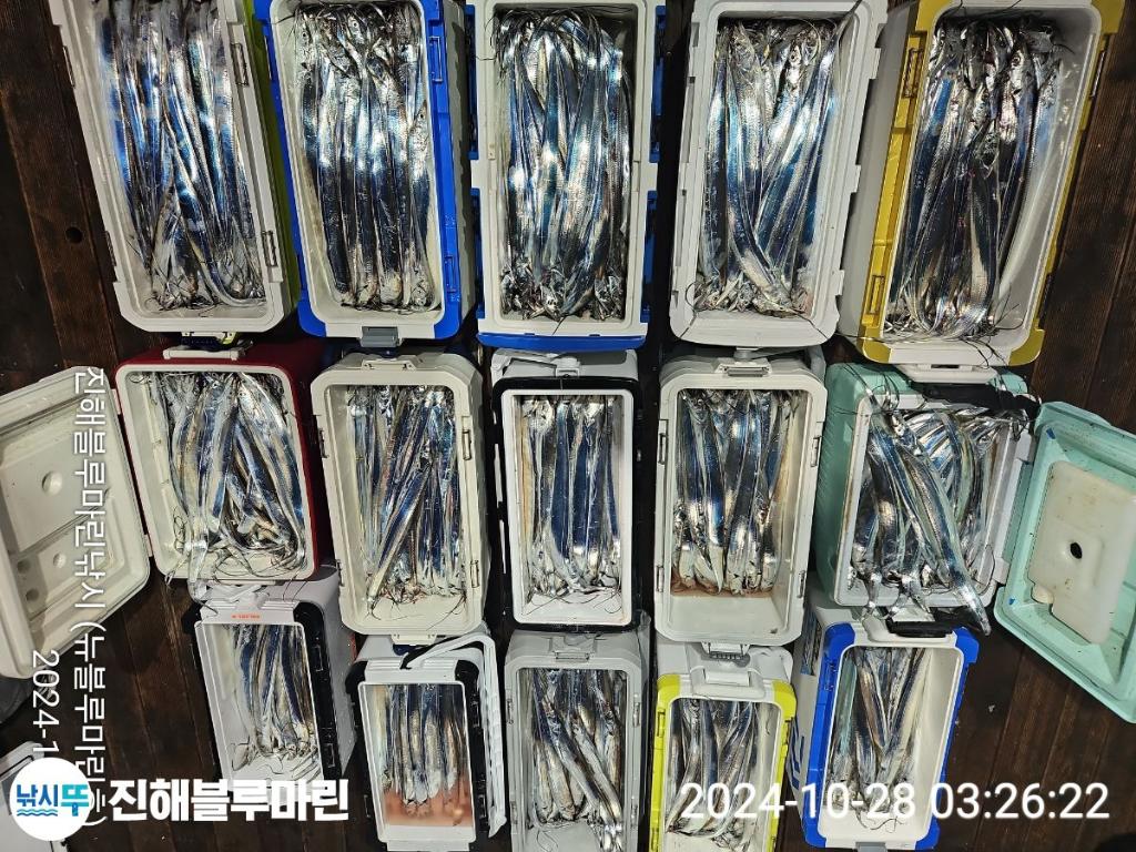 F2552146G4.jpg