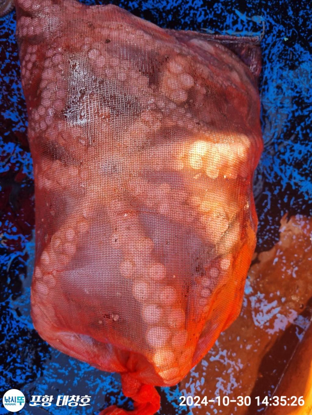 F2553438T6.jpg