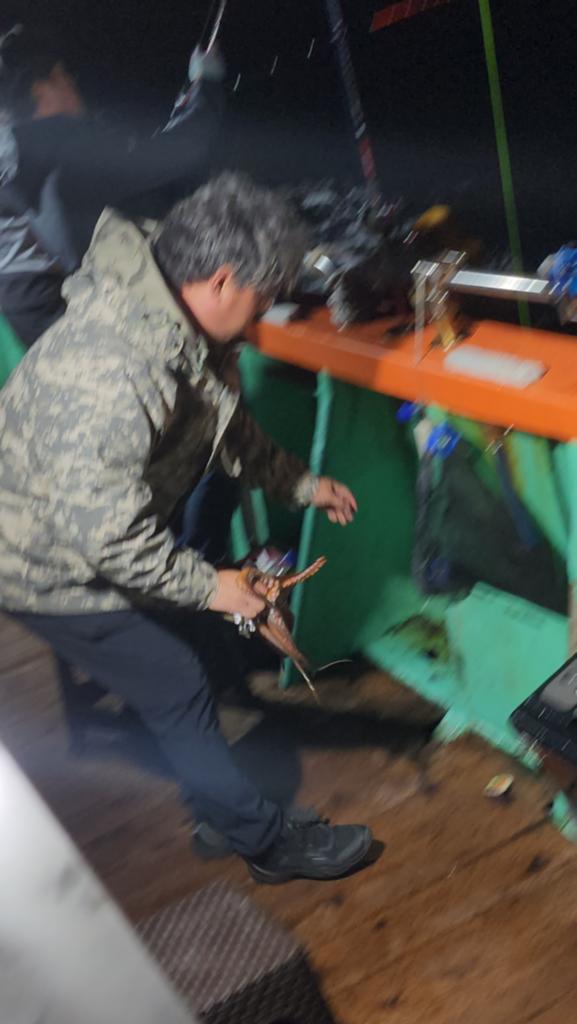 F2553784CJ.jpg