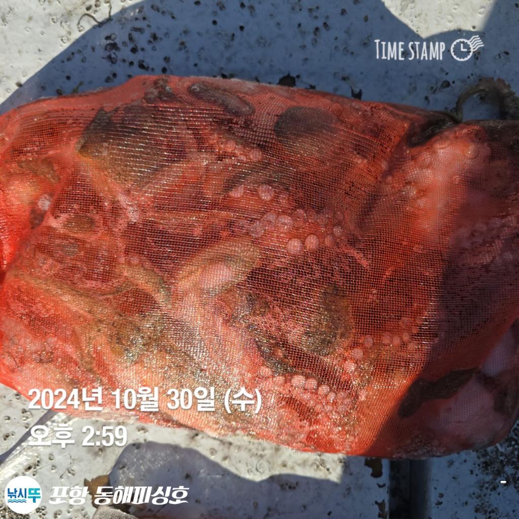 F2553861YV.jpg