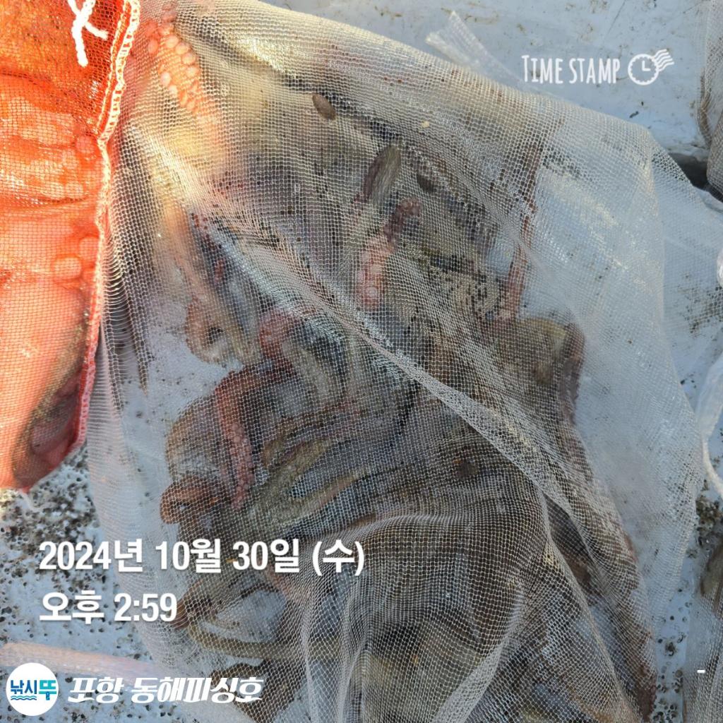 F2553863OA.jpg