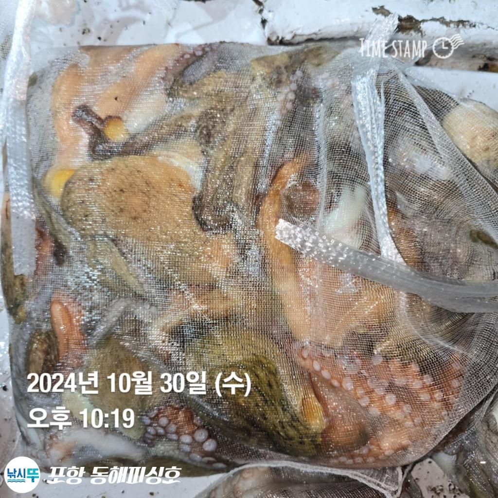 F255387747.jpg