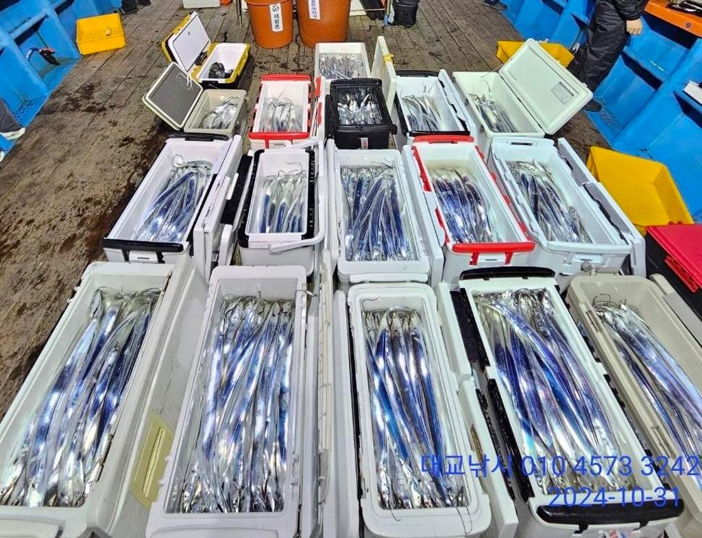갈치, 삼포대교낚시, 낚시뚜
