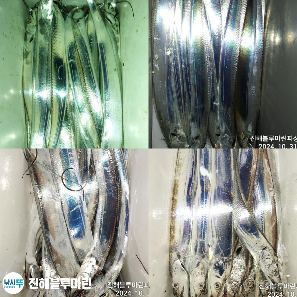 F2554519ML.jpg