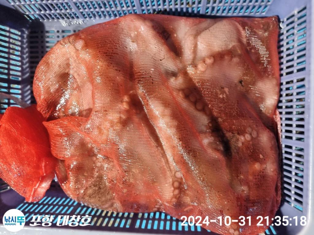 F25550149H.jpg