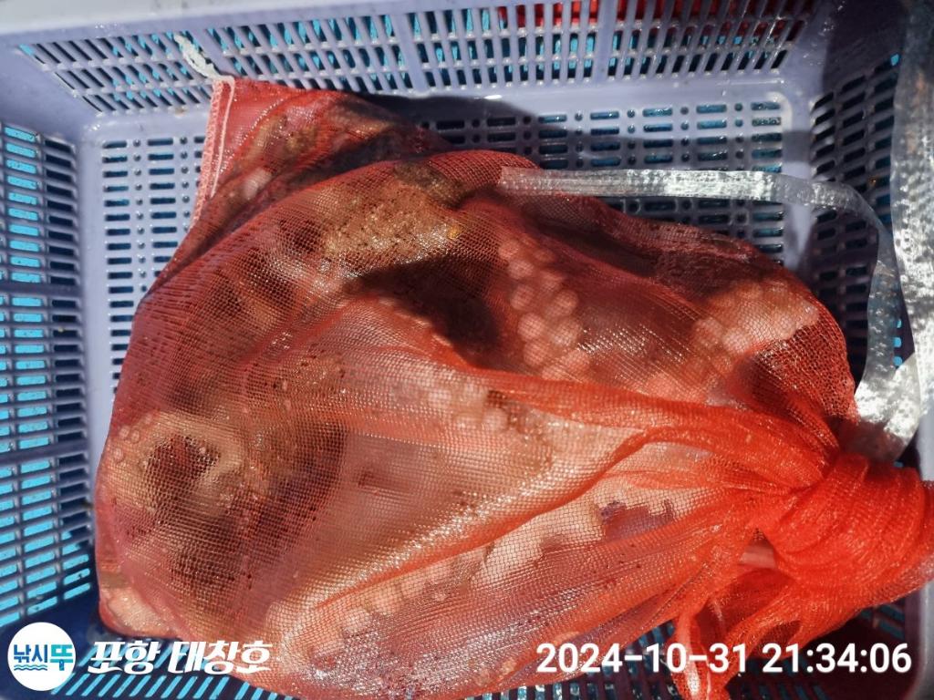F2555017PR.jpg
