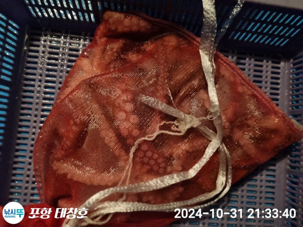 F2555019P3.jpg