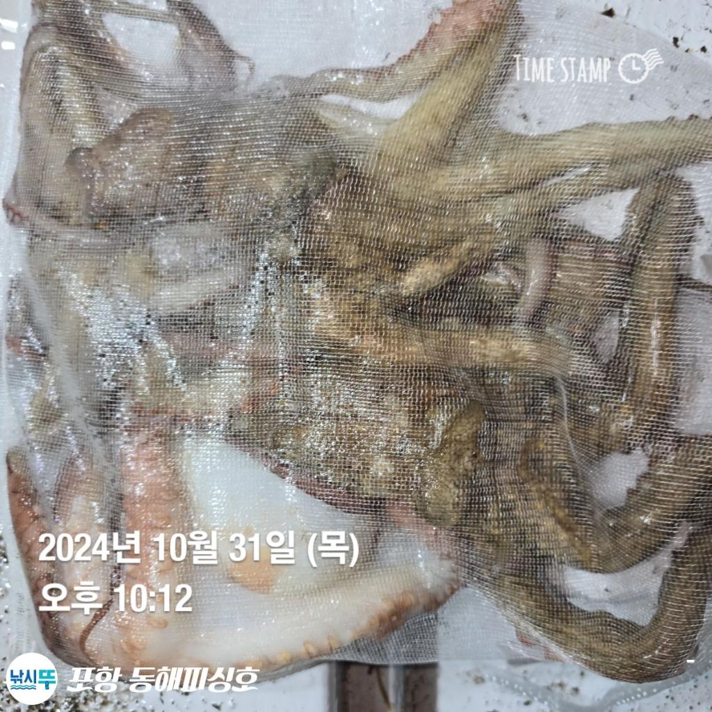 F2555078ZY.jpg