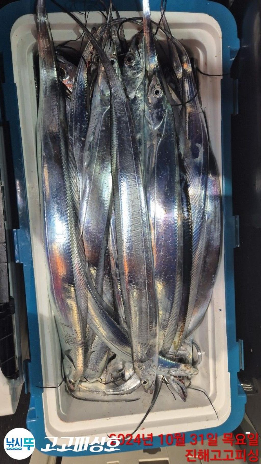 F2554409SG.jpg