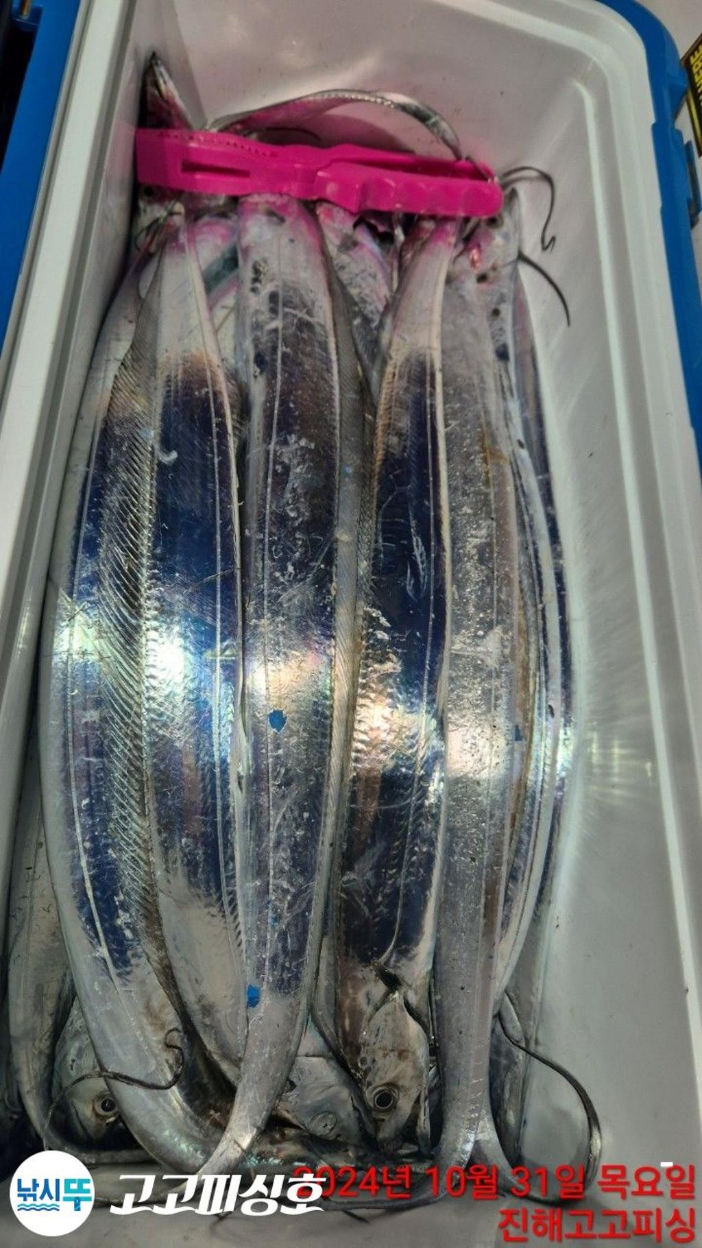 F2554411XF.jpg