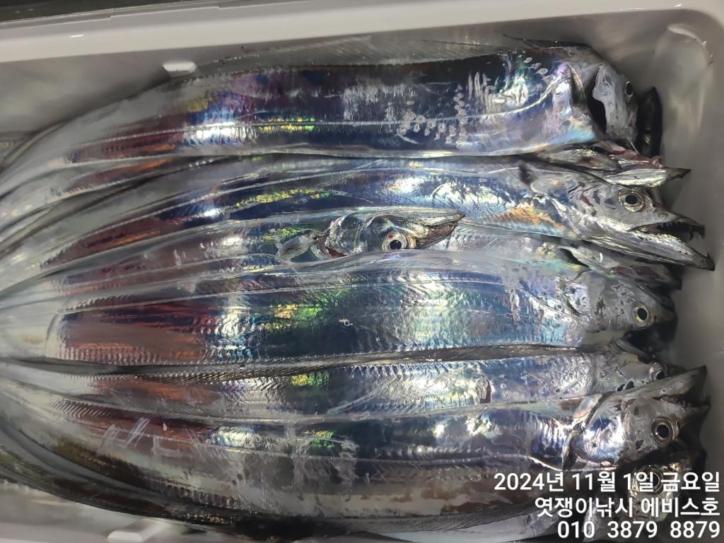 F2555333ZM.jpg