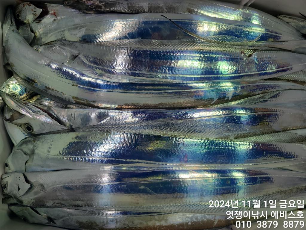 F2555336WR.jpg