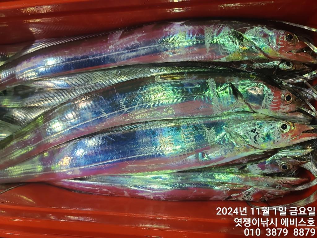 F2555337WI.jpg