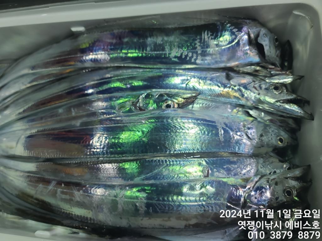 F2555339AE.jpg