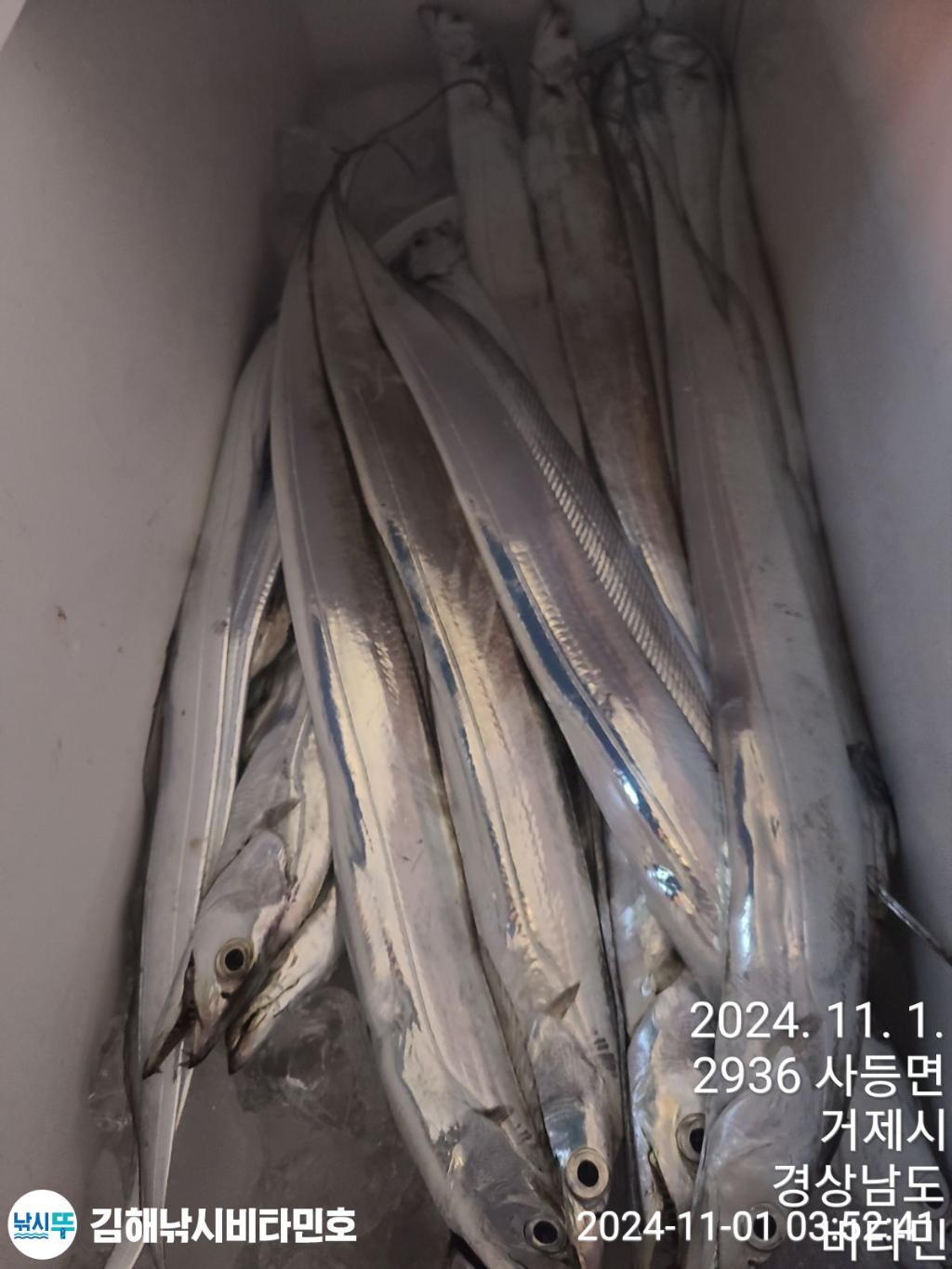 F2555421GY.jpg