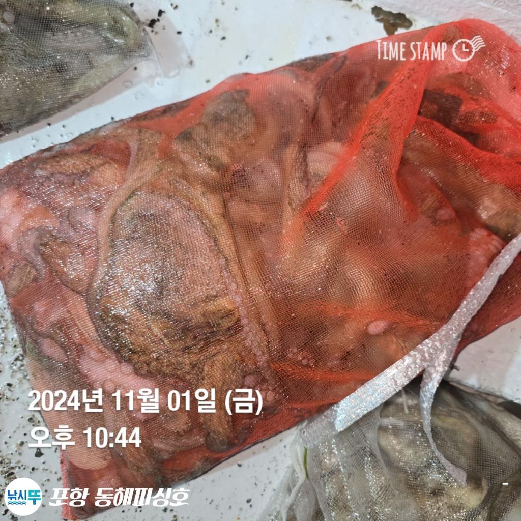 F2555897EK.jpg