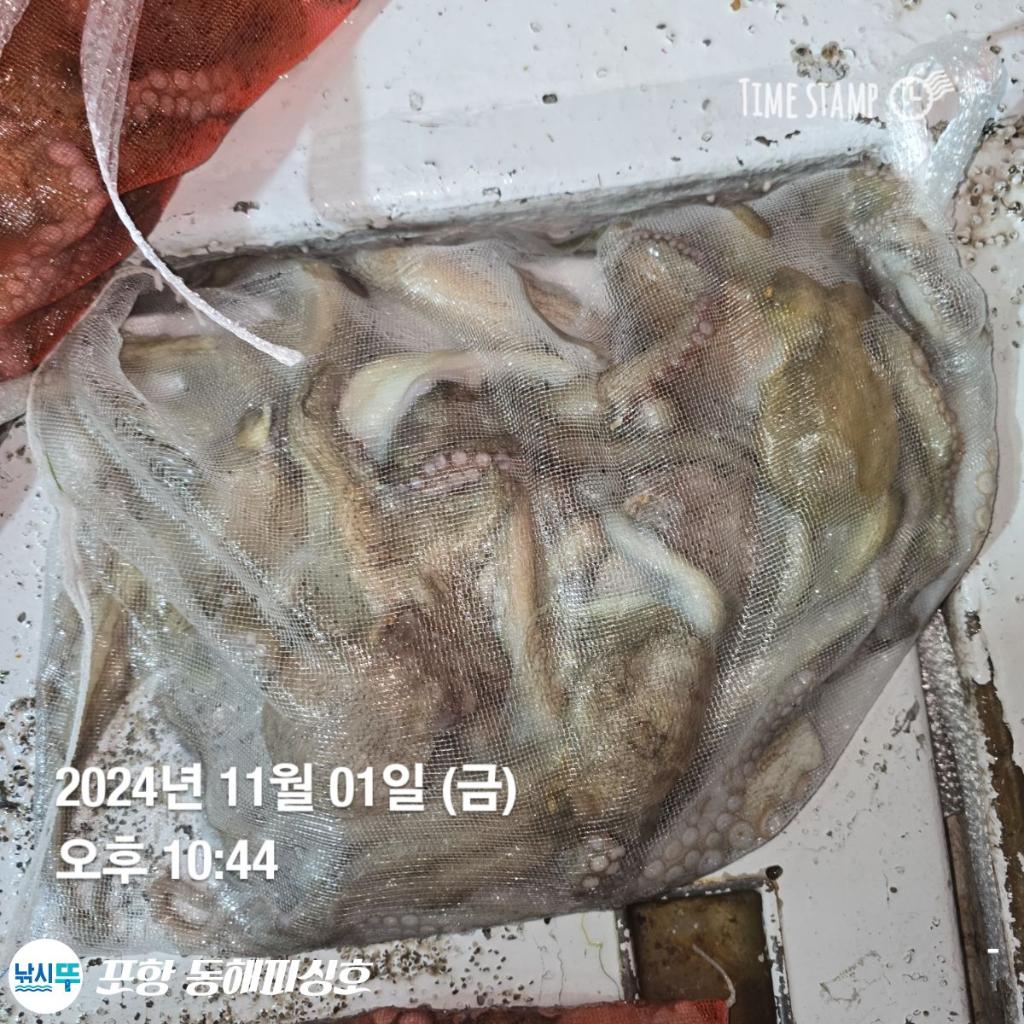 F25558984F.jpg