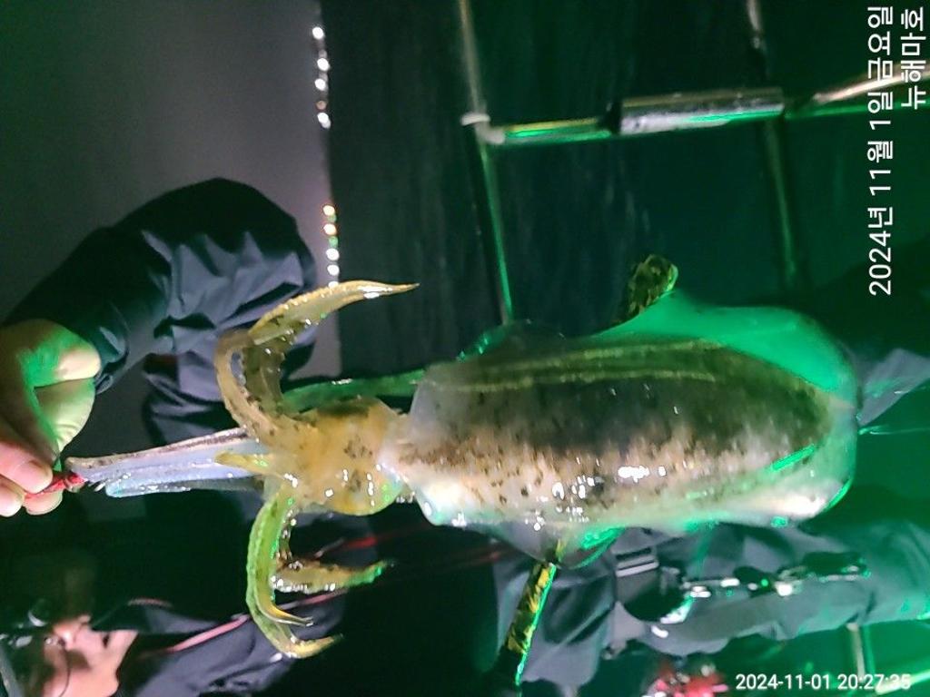 F2556227IW.jpg