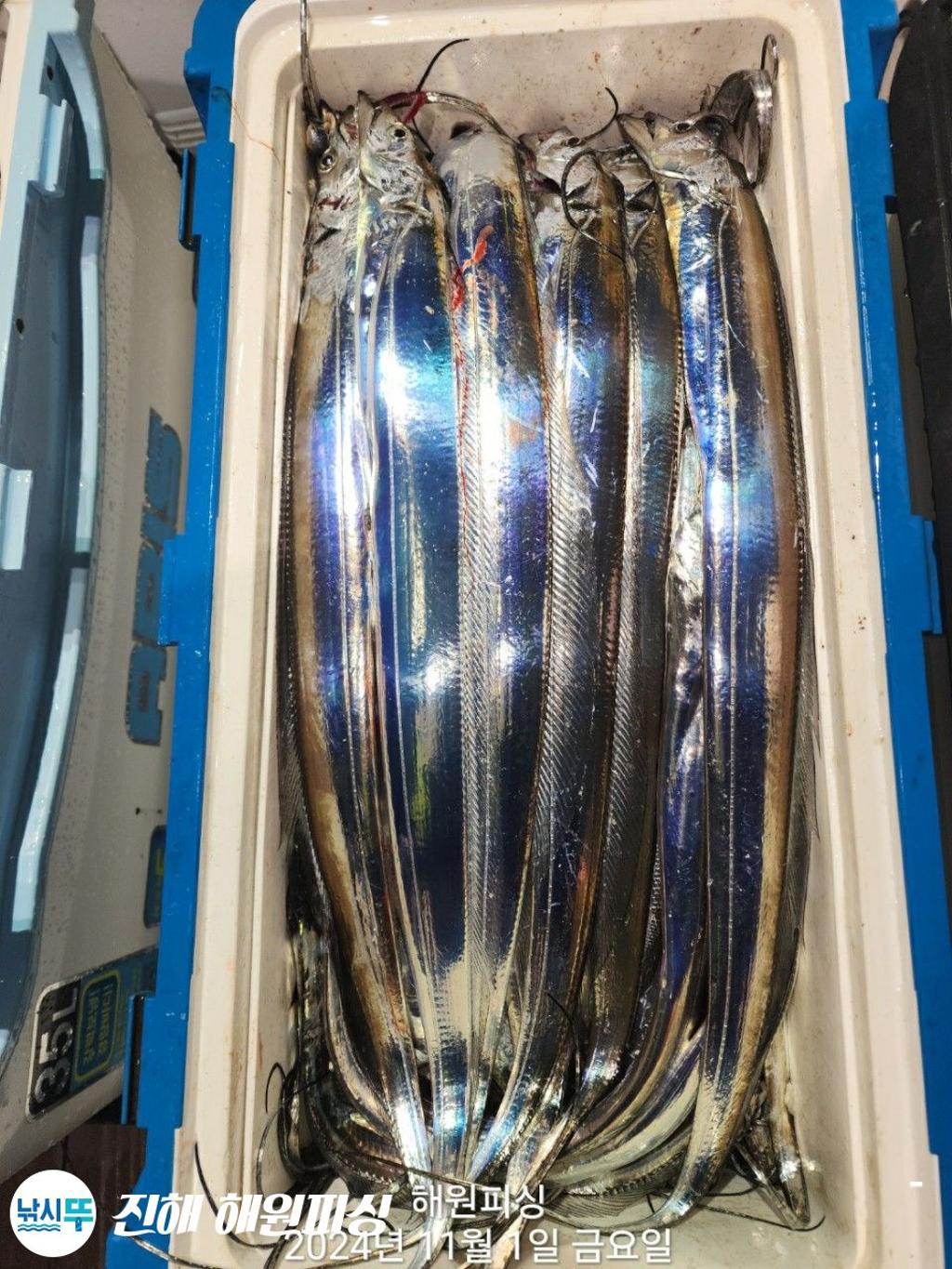 F2556443JA.jpg