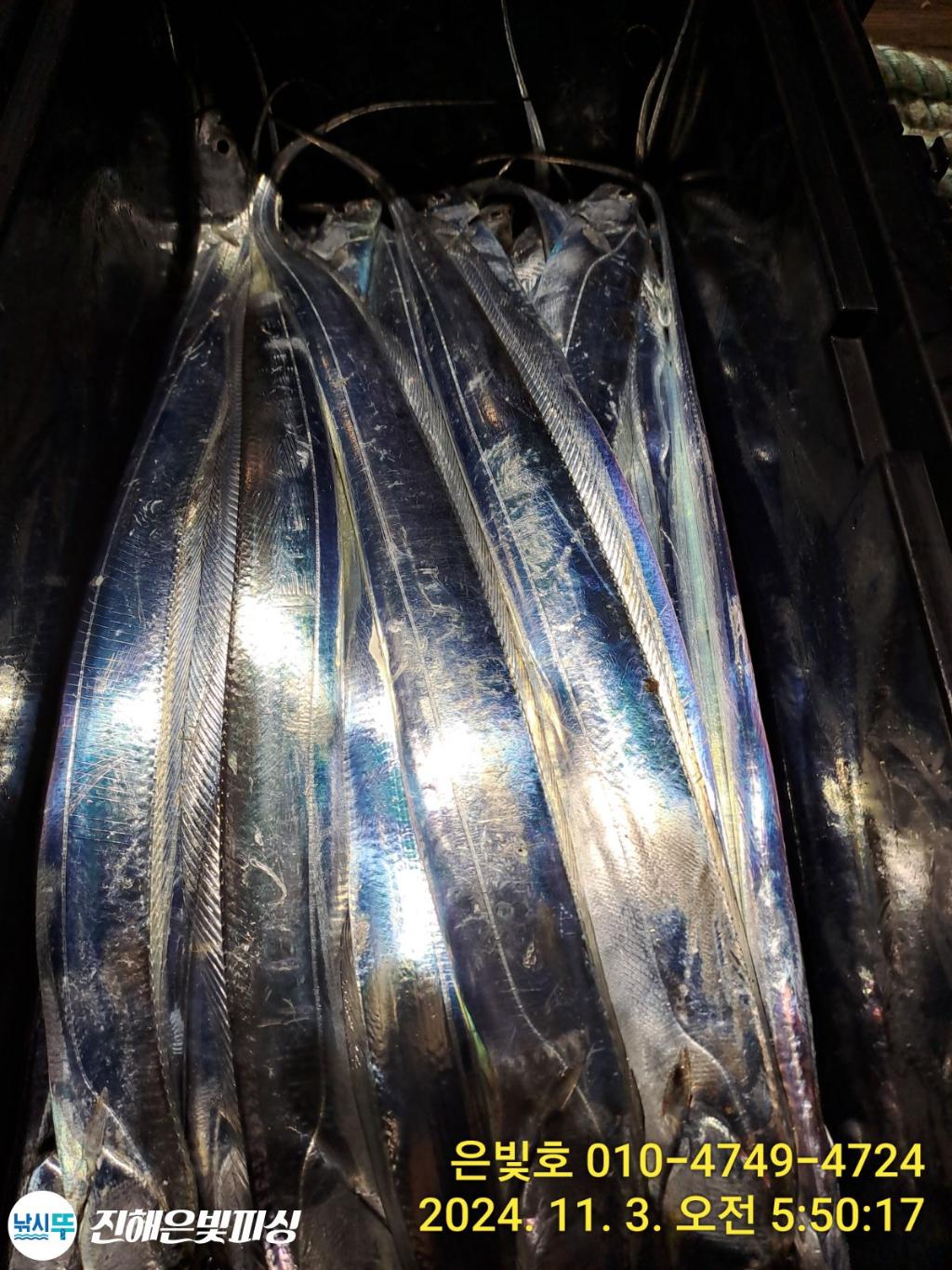 F2556785XB.jpg