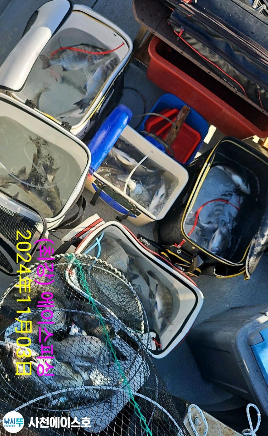 F2557303NG.jpg