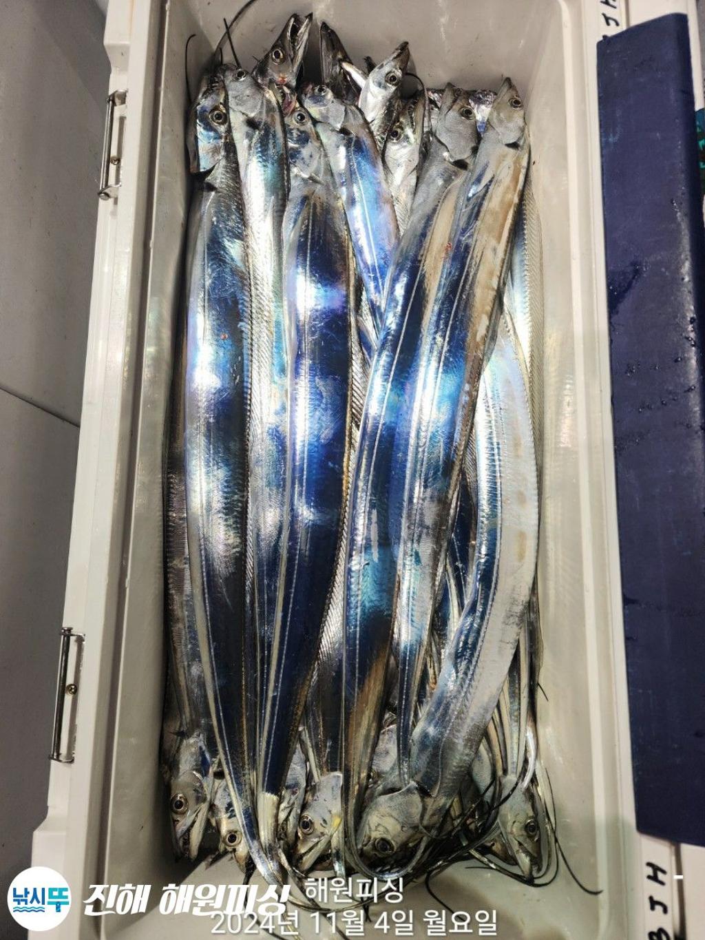 F2557869IX.jpg