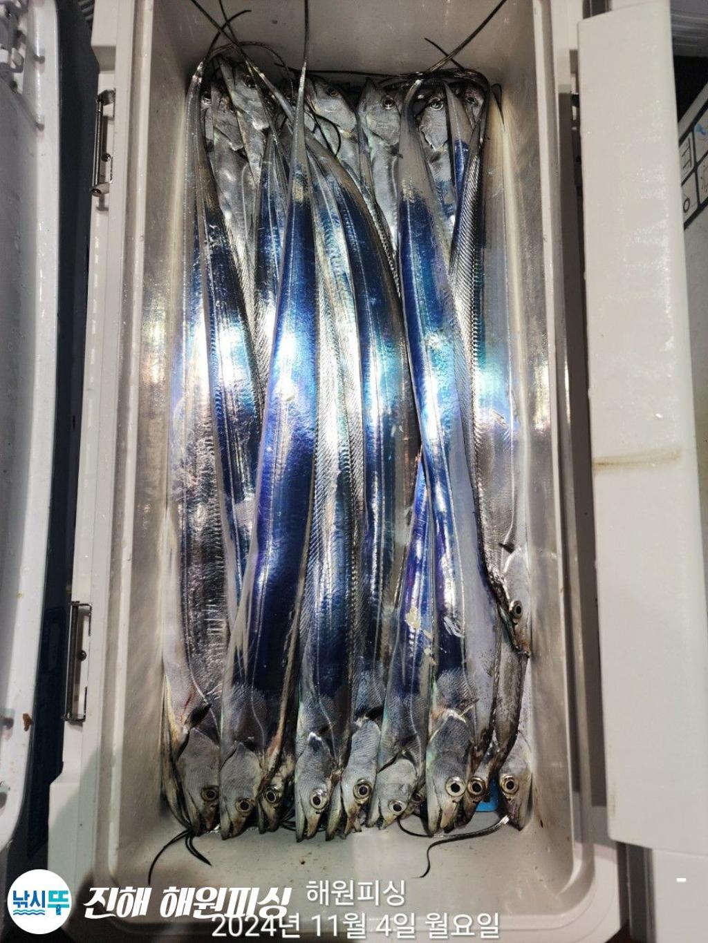 F2557870XS.jpg