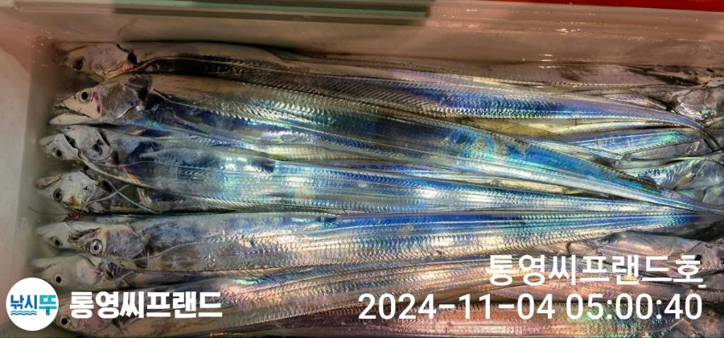 F2558067UE.jpg