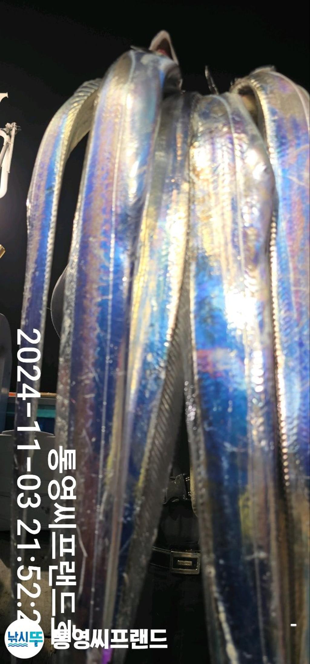 F25580733T.jpg