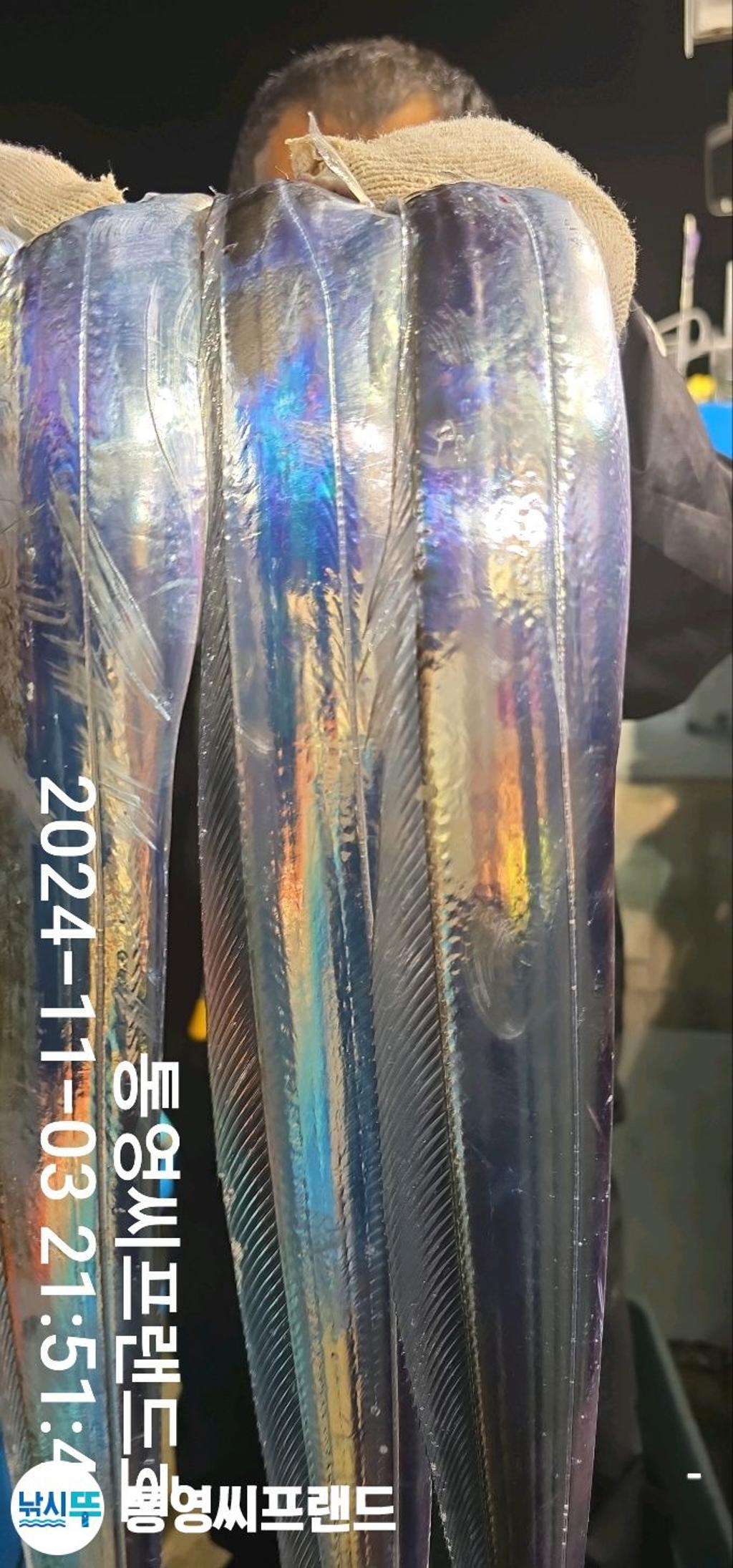 F2558075BG.jpg
