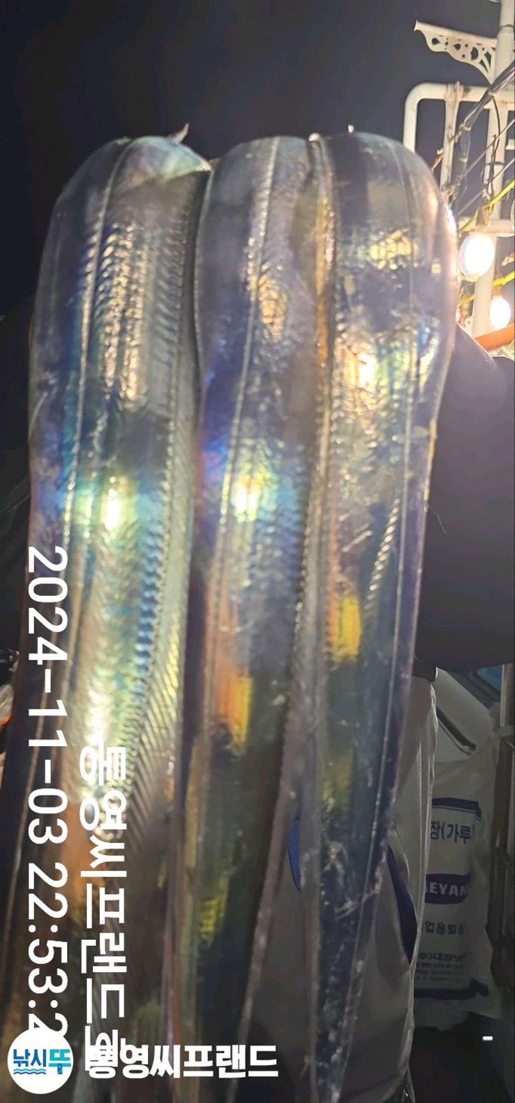 F25580763R.jpg