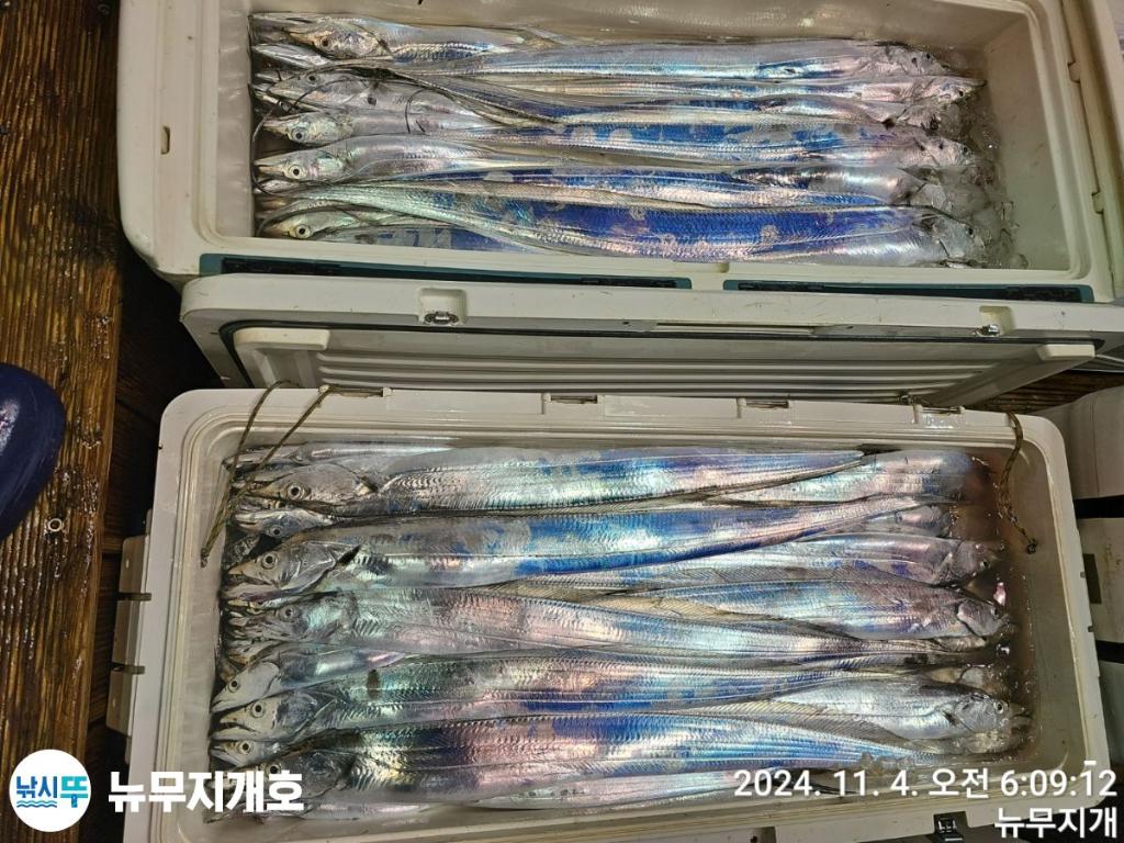 F2558087T7.jpg